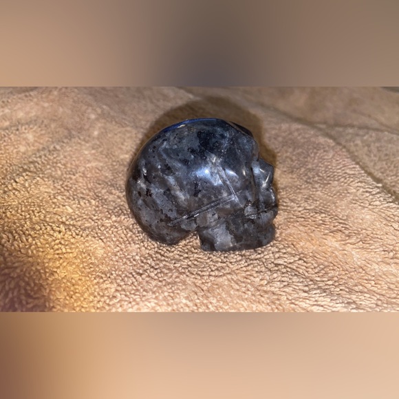 Skull party - Picture 7 of 11